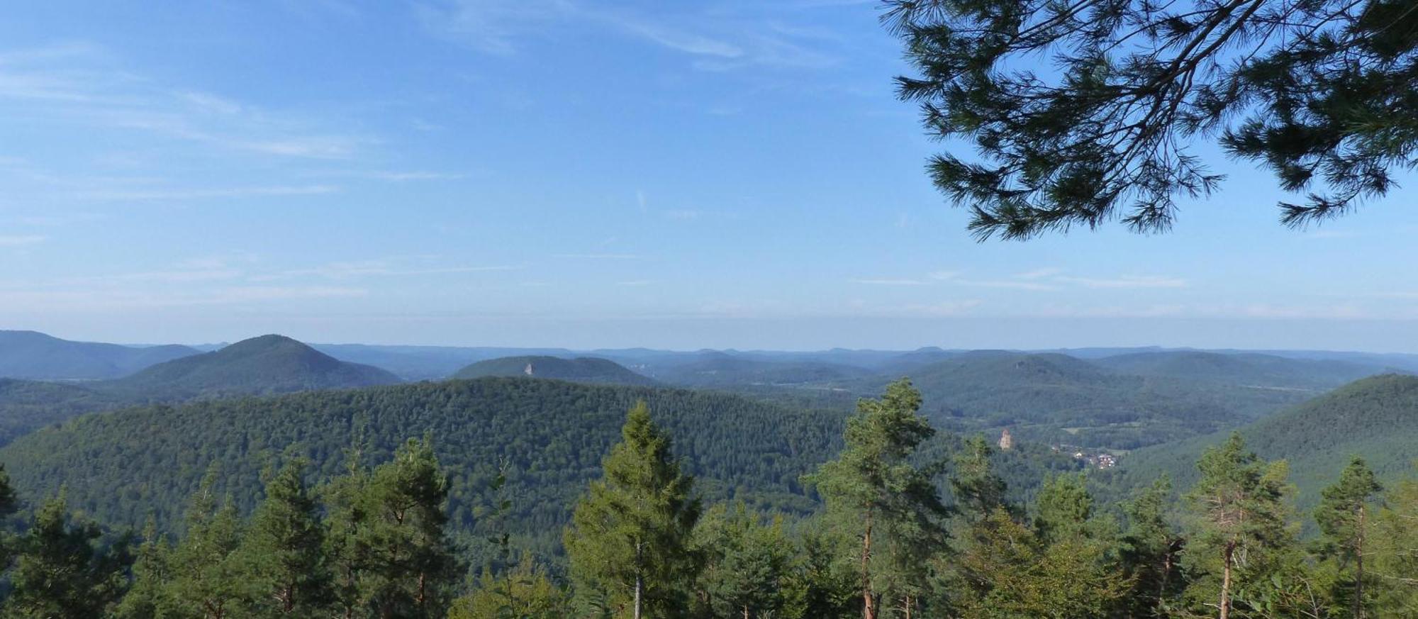 Ferienwohnung "Monte Noble" Suedpfalz Erlenbach  Экстерьер фото