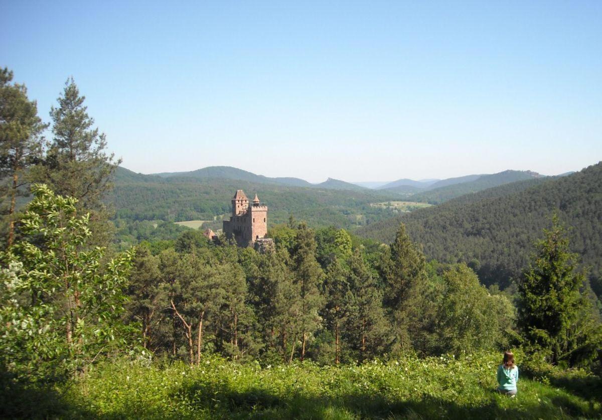Ferienwohnung "Monte Noble" Suedpfalz Erlenbach  Экстерьер фото